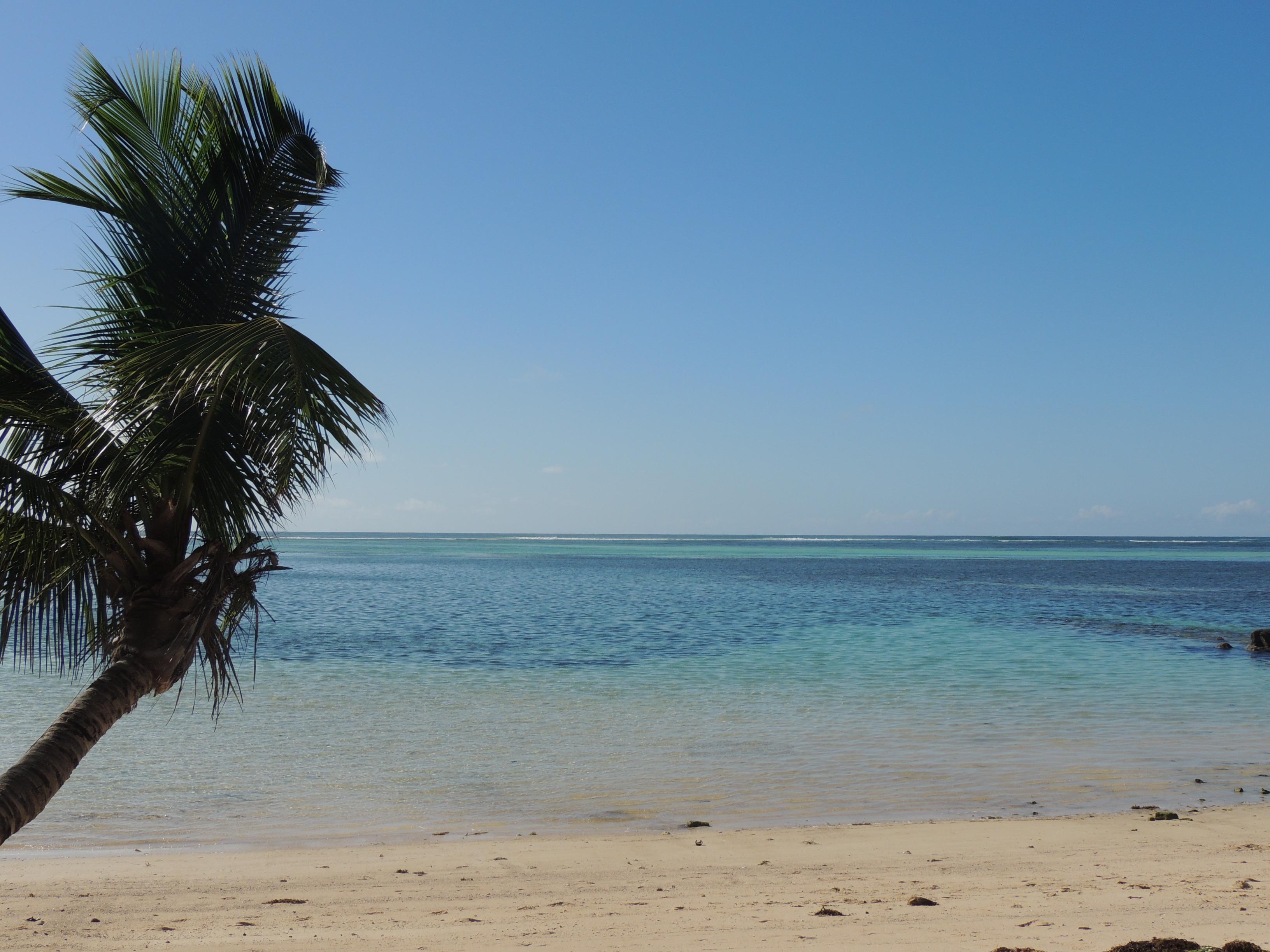 Reef Holiday Apartments Anse aux Pins Exterior foto